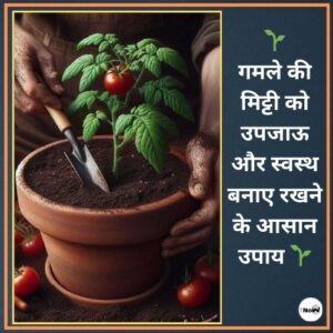 Mitti ki dekhbhal